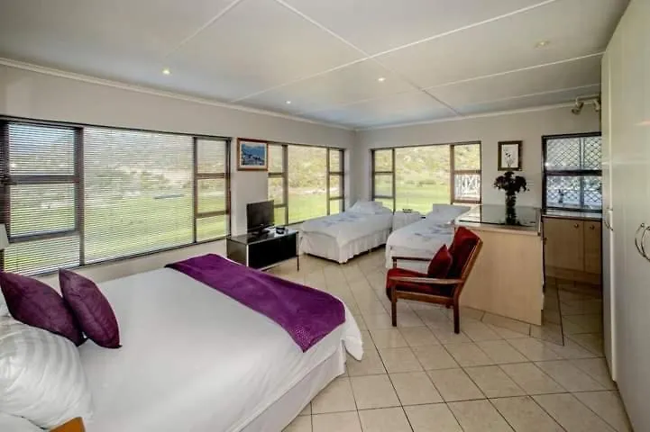 15 On Penguin Guesthouse Simon's Town Guest house