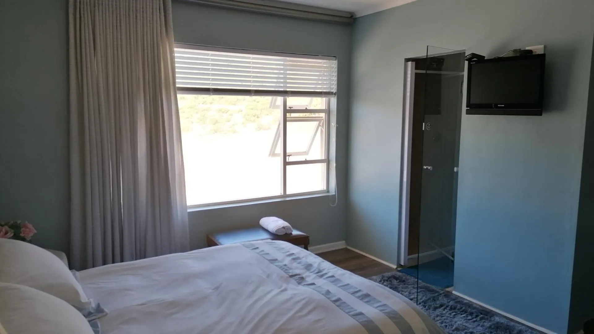 15 On Penguin Guesthouse Simon's Town Guest house